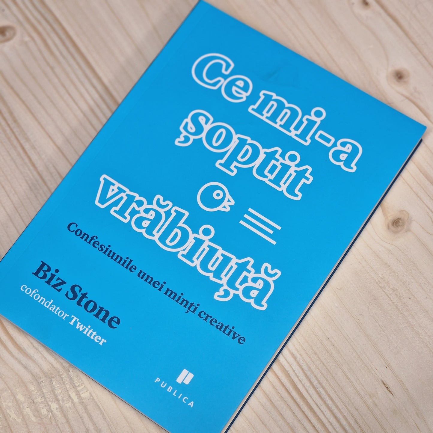 Ce mi-a soptit o vrabiuta, Biz Stone