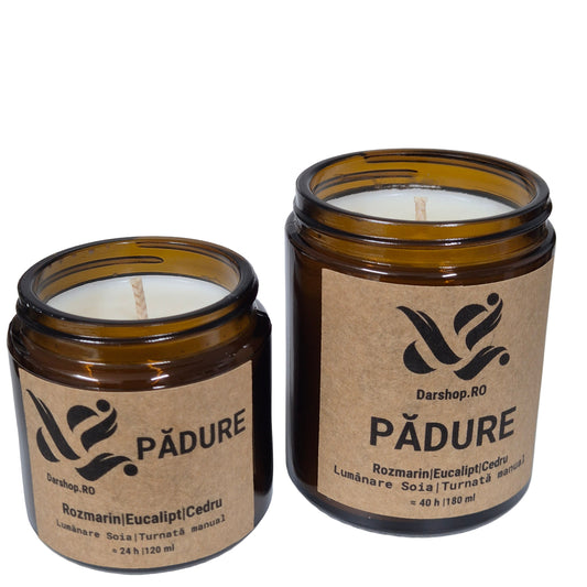 Lumânare naturală din ceară de soia Pădure, cu aromă fresh și relaxantă de pădure, ideală pentru serile cozy și decorul de toamnă.